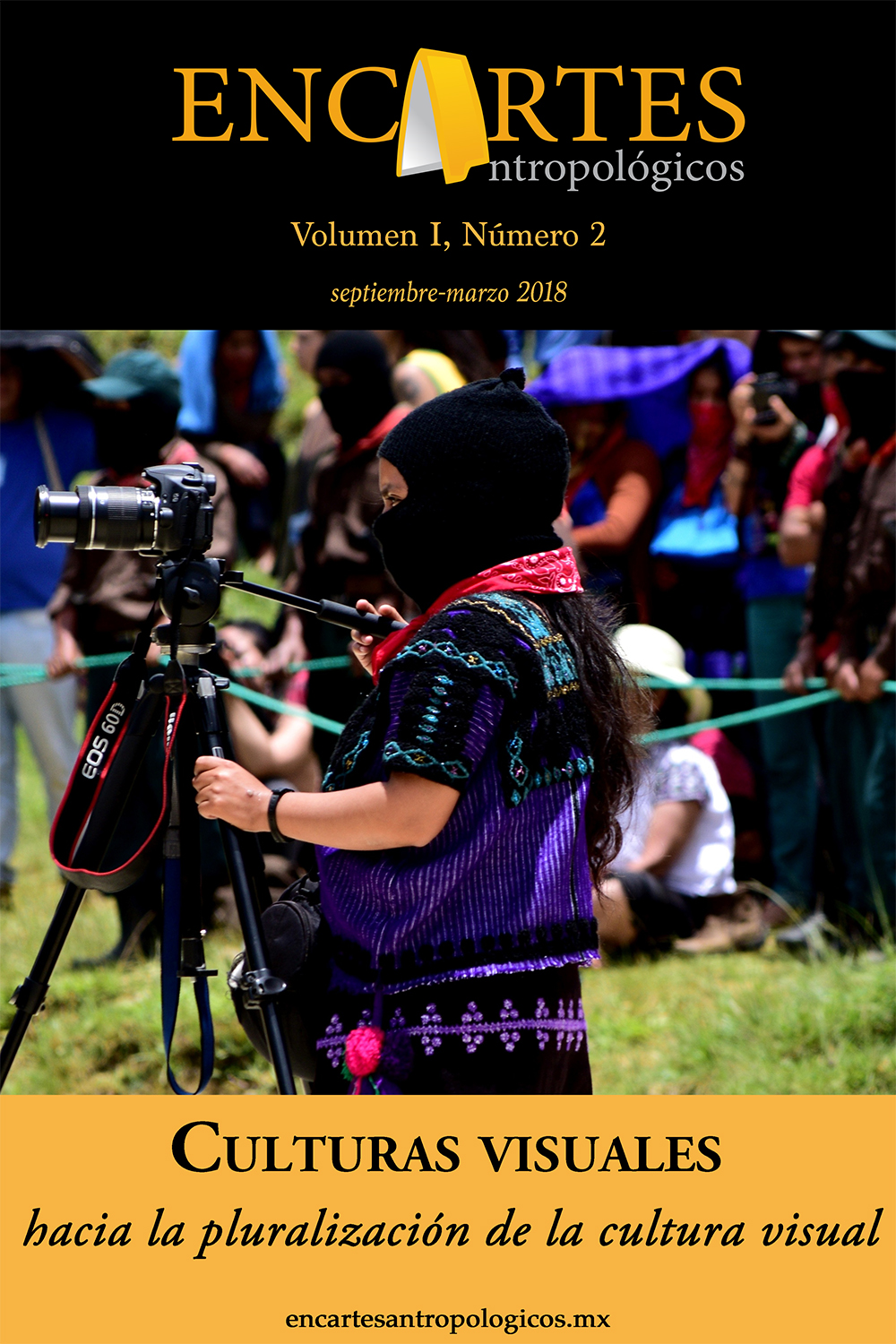 					Ver Vol. 1 Núm. 2 (2018): Culturas visuales. Hacia la pluralización de la cultura visual
				